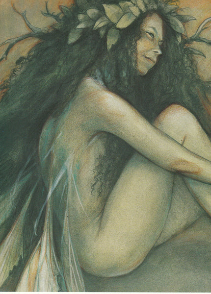 Brian Froud Knowing Faery