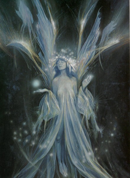 Froud Dreamweaver