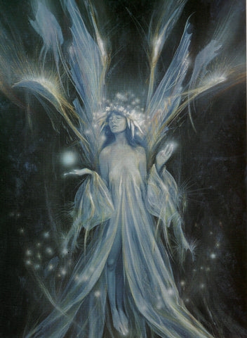 Froud Dreamweaver