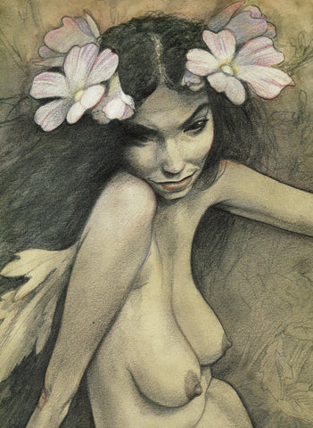 Froud Vervain Faery