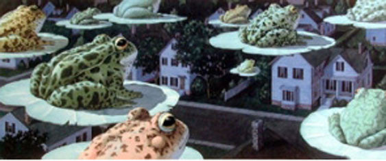 Froggy Evening