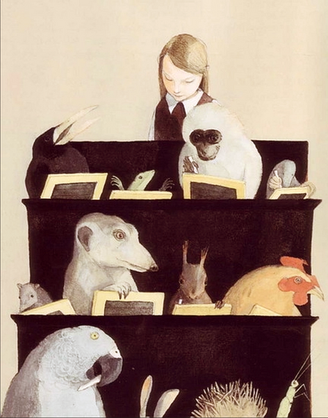 Jury