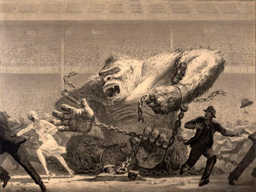 Kong in Stadium